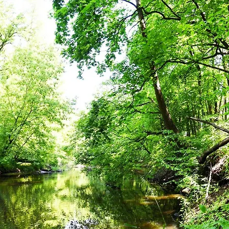 Dobry Zakatek Dom Rekolekcyjny 홀리데이파크 콘스탄친-예지오르나