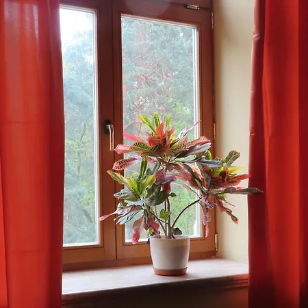 홀리데이파크 Dobry Zakatek Dom Rekolekcyjny 3*