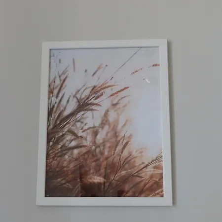 Dobry Zakatek Dom Rekolekcyjny 3* 콘스탄친-예지오르나