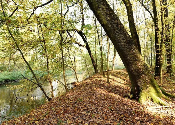Dobry Zakatek Dom Rekolekcyjny 3* Konstancin-Jeziorna