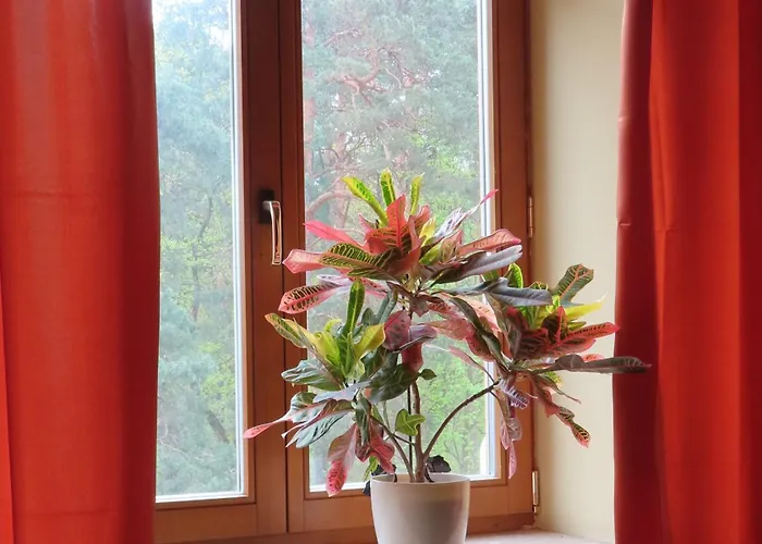 Üdülőpark Dobry Zakatek Dom Rekolekcyjny 3*