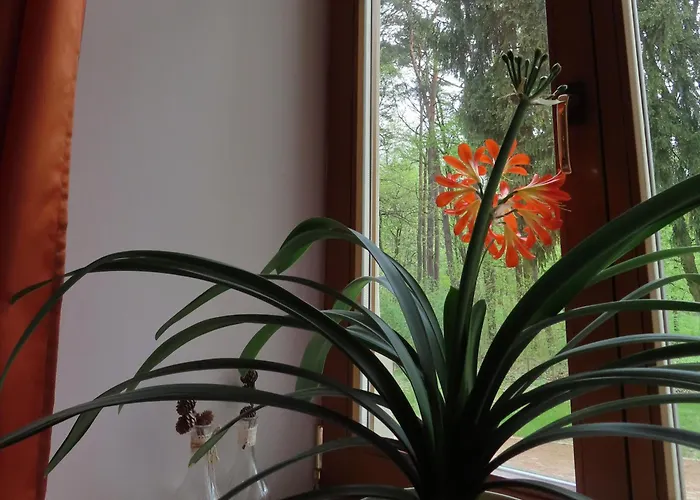 Dobry Zakatek Dom Rekolekcyjny